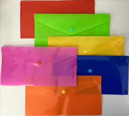 Picture of Sunbird DL Poly envelope