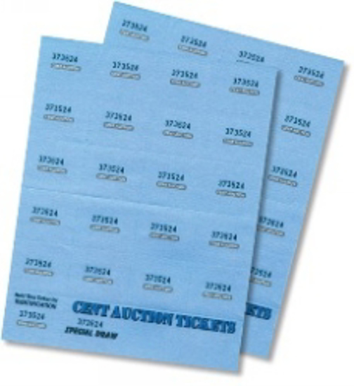 Picture of TICKETS CENT AUCTION COLOURED PK500 SHEETS