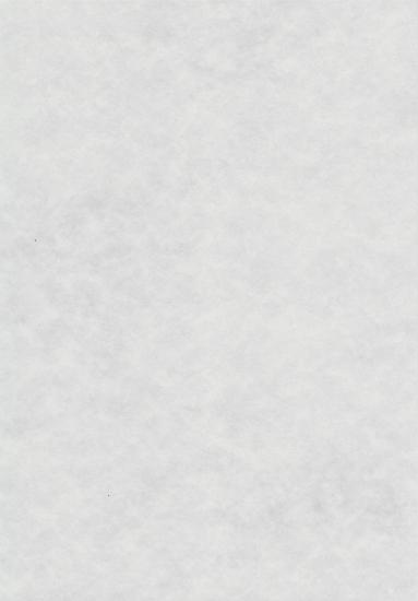 Picture of REGAL PARCHMENT WHITE 90GSM