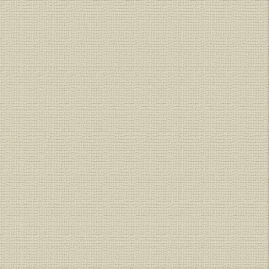 Picture of CARDSTOCK 12X12 DELICATE MEDLAR