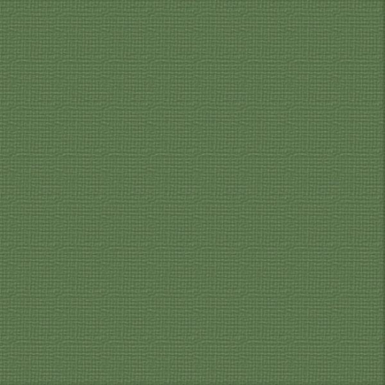 Picture of CARDSTOCK 12X12 CYPRESS PINE