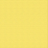 Picture of CARDSTOCK 12X12 RAINCOAT 216GSM