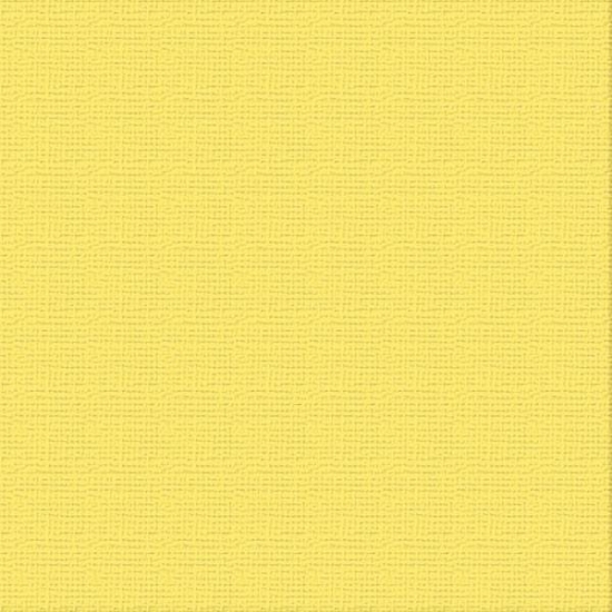 Picture of CARDSTOCK 12X12 RAINCOAT 216GSM