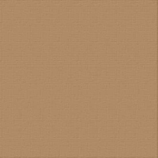 Picture of CARDSTOCK 12X12 CINNAMON