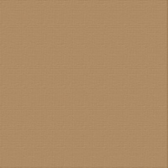 Picture of CARDSTOCK 12X12 CINNAMON