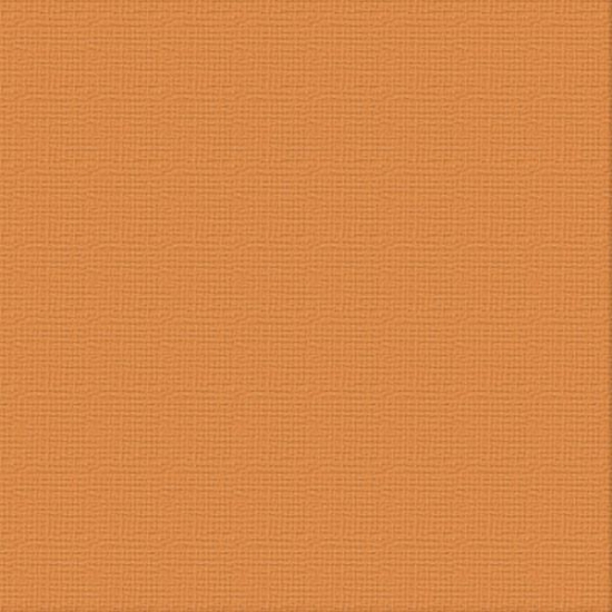 Picture of CARDSTOCK 12X12 BURNT SIENNA