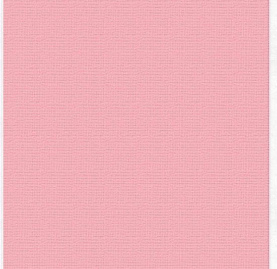 Picture of CARDSTOCK 12X12 PRECIOUS