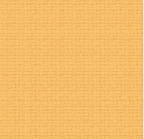 Picture of CARDSTOCK 12X12 MONARCH 250GSM