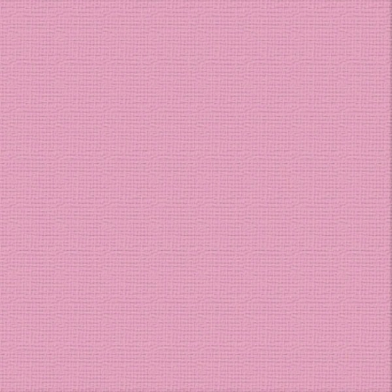 Picture of CARDSTOCK 12X12 PANDORA