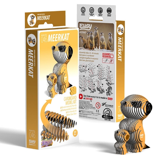 Picture of EUGY2 MEERKAT