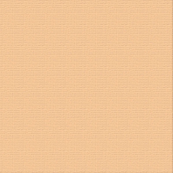 Picture of 12X12 CARDSTOCK CANTELAUPE