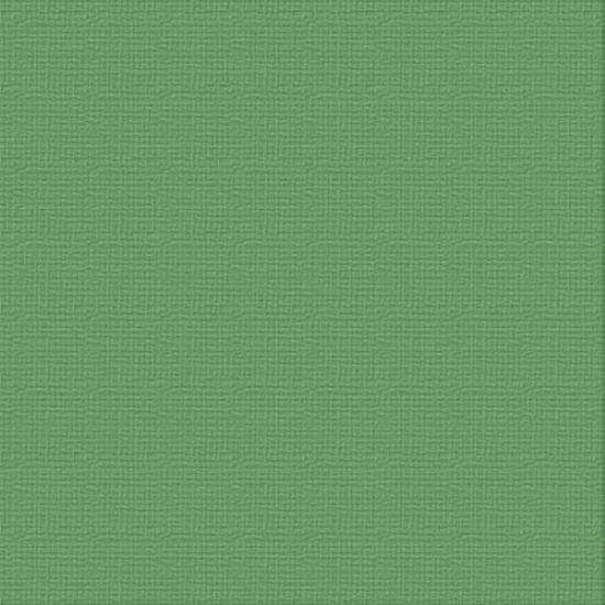 Picture of CARDSTOCK 12X12 SHAMROCK 216GSM