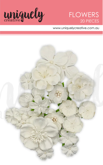 Picture of FLOWERS WHITE