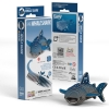 Picture of EUGY WHALESHARK
