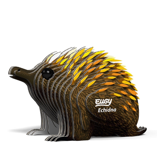 Picture of EUGY2 ECHIDNA