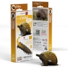 Picture of EUGY2 ECHIDNA