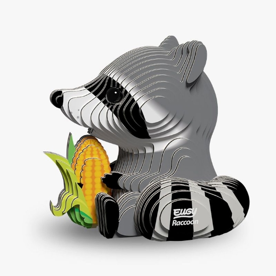 Picture of EUGY2 RACCOON