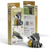 Picture of EUGY2 RACCOON