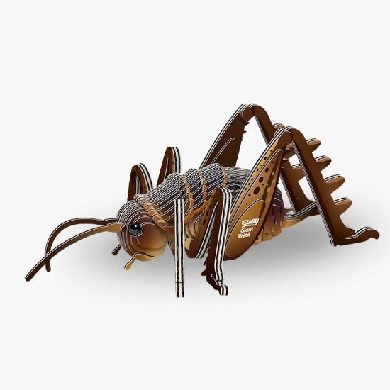 Picture of EUGY2 GIANT WETA