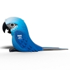Picture of EUGY SPIXS MACAW