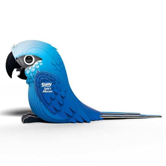 Picture of EUGY SPIXS MACAW