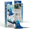 Picture of EUGY SPIXS MACAW