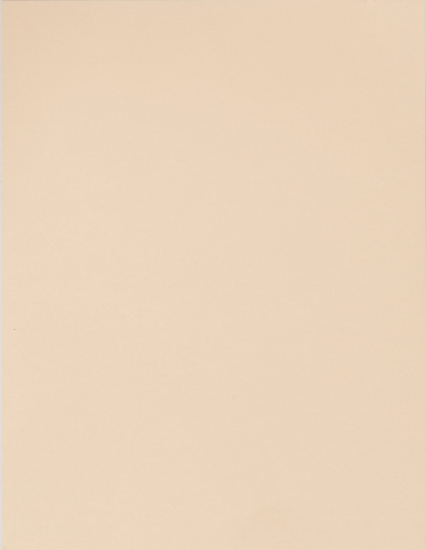 Picture of BRISTOL BOARD BUFF 200GSM