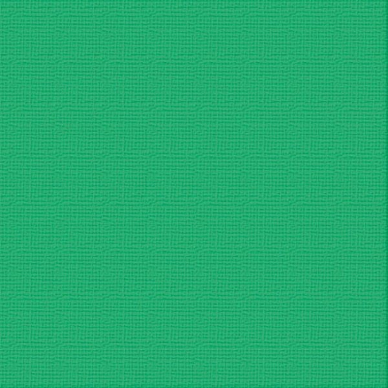 Picture of CARDSTOCK 12X12 VERDANT