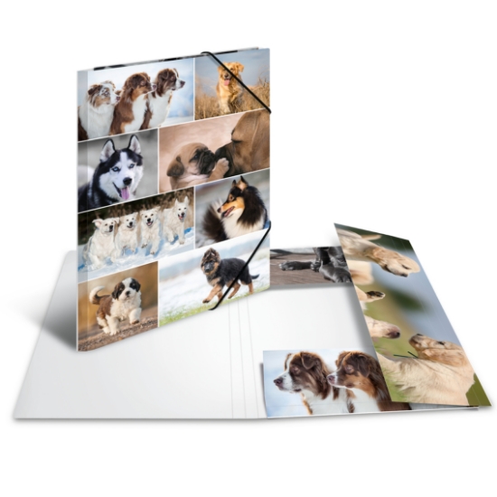 Picture of ELASTICATED FOLDER A3 HORSES CB