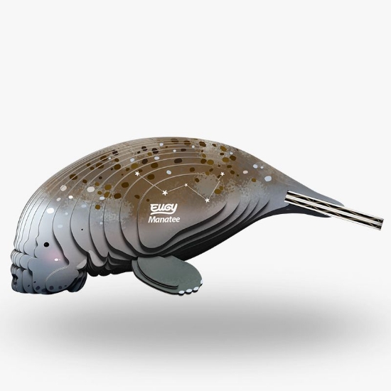 Picture of EUGY2 MANATEE