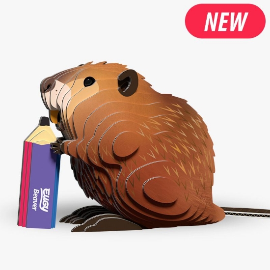 Picture of EUGY2 BEAVER