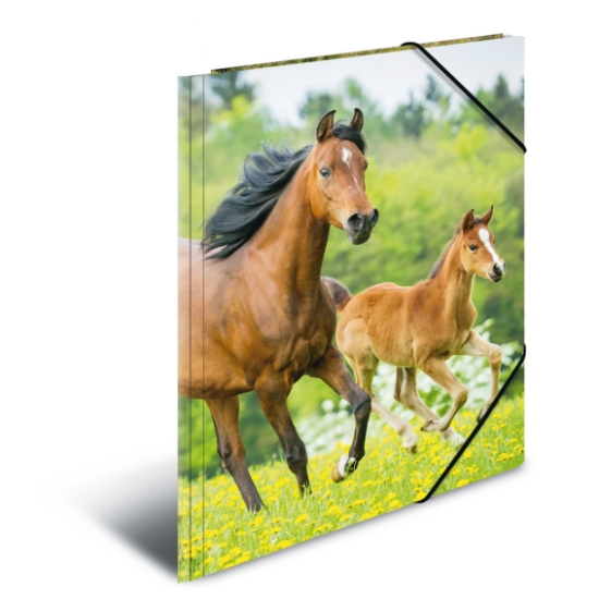 Picture of ELASTICATED FOLDER A3 HORSES CB