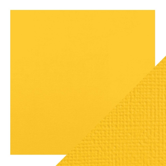 Picture of CARDSTOCK 12X12 MARIGOLD
